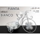 GICO/BICI P.PIANTA 65X29X44