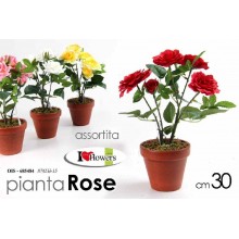 GICO/PIANTINA ROSA 30CM.