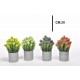 MERC/FIORI DI CAMPO IN VASO 47412