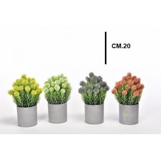 MERC/FIORI DI CAMPO IN VASO 47412
