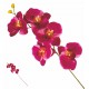 VEA/36158 STELO ORCHIDEA