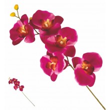 VEA/36158 STELO ORCHIDEA