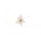 PART2/FIORE 15CM.SNOW CREMA