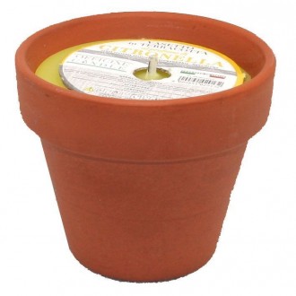 CERE/CITRON.VASET.TERR.9X8*