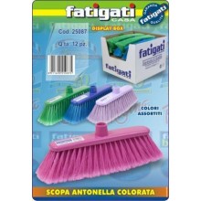 FAT/SCOPA ANTONELLA COLOR