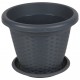 DUP/RATTAN VASO 40 ANTR*