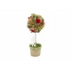 ABM2/ALBER.PALLA PIGNE 38X16