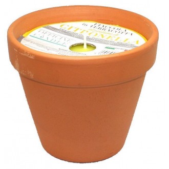 CERE/CITRON.VASET.TERR.7X6*