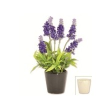 VASO LAVANDA 27581