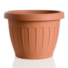 BAM/VASO TERRA 50DM.