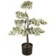 VEAN/BONSAI INNEV.68CM.45501