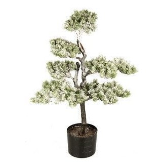 VEAN/BONSAI INNEV.68CM.45501