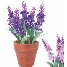 VEA/PIANTINA LAVANDA 15CM.