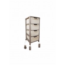 COST/CASS.4C STEL.BICOLOR*