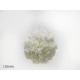 GT2/PALLA 120MM C/ROSE BIANCO