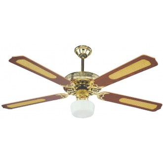 DCG/VENTILATORE A PALA LUCE TELEC.43TL