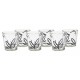 FAMA/CONF.6 BICCH.FIOCCO B2149/2209